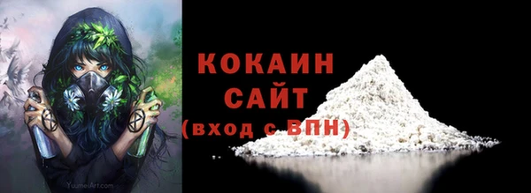 PSILOCYBIN Богданович
