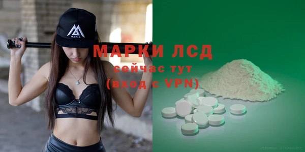 PSILOCYBIN Богданович