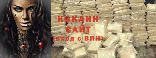 PSILOCYBIN Богданович