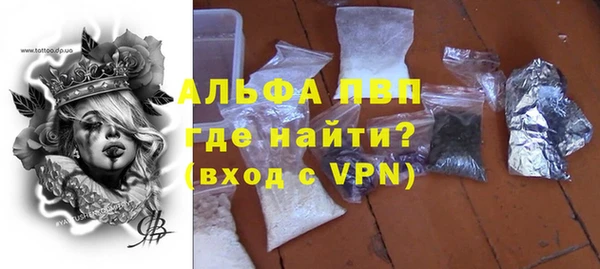 PSILOCYBIN Богданович