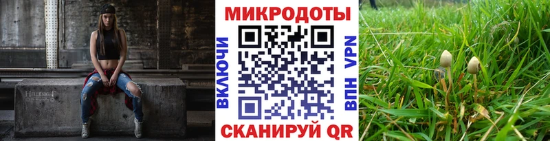 даркнет как зайти Санкт-Петербург Псилоцибиновые грибы Psilocybine cubensis